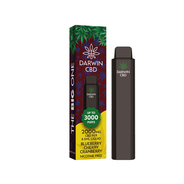 Darwin The Big One 2000mg CBD Disposable Vape Device 3000 Puffs